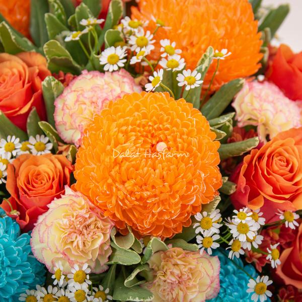 Bình Hoa Yêu Thương Trân Quý 578