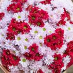 Bó Hoa Nắng Ấm Dịu Dàng 586