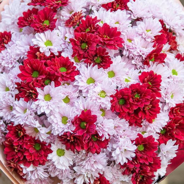 Bó Hoa Nắng Ấm Dịu Dàng 586