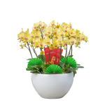 Lan Hồ Điệp Thành Ý 001