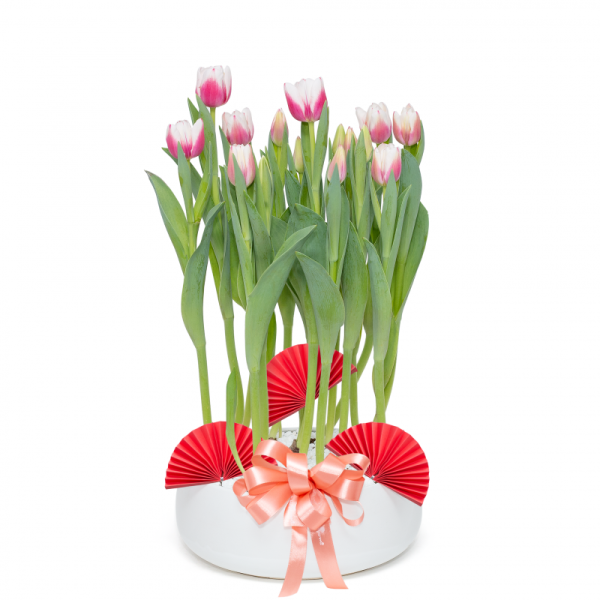 Chậu Hoa Thiết Kế Sắc Xuân 139