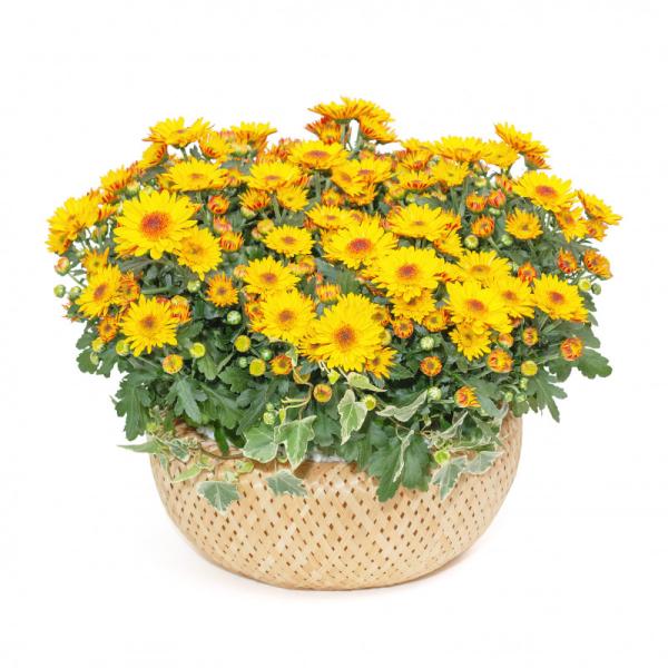 Giỏ Hoa Thiết Kế Nắng Ấm 037