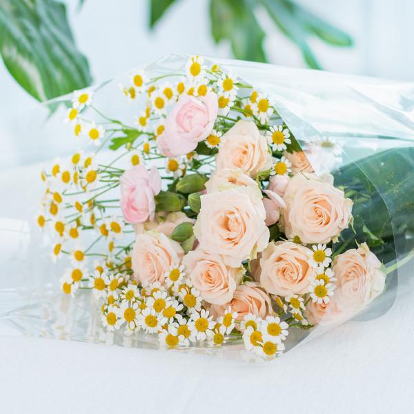 Bó Hoa The Dreamers 434