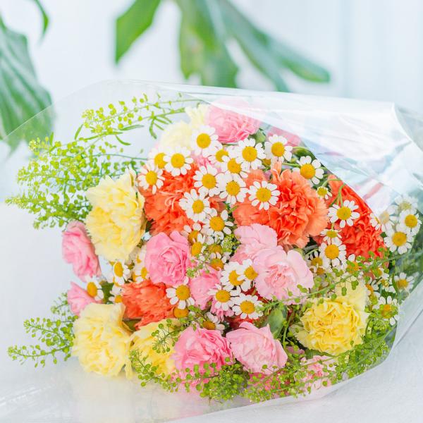 Bó Hoa The Dreamers 435