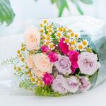 Bó Hoa The Dreamers 437