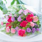 Bó Hoa The Dreamers 438