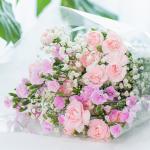 Bó Hoa The Dreamers 439