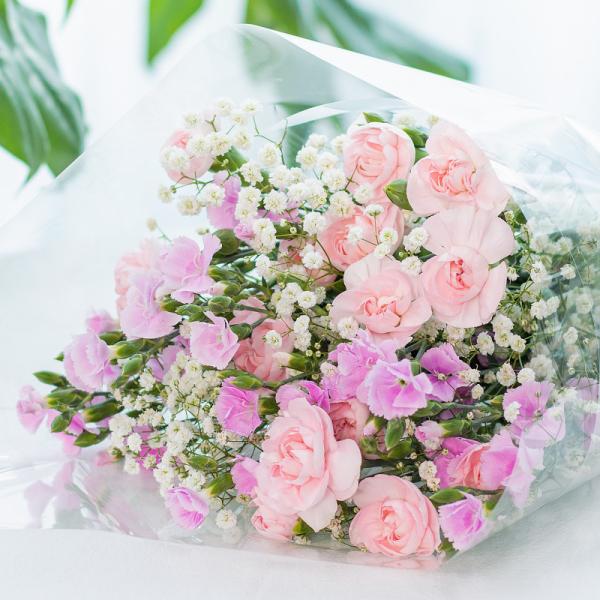 Bó Hoa The Dreamers 439