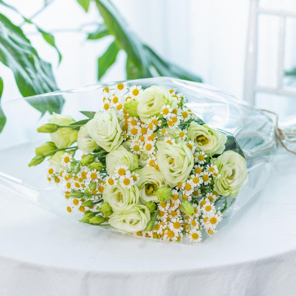 Bó Hoa The Dreamers 440