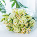 Bó Hoa The Dreamers 440