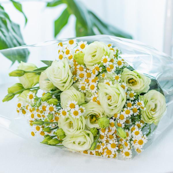 Bó Hoa The Dreamers 440