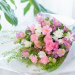 Bó Hoa The Dreamers 441