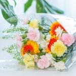 Bó Hoa The Dreamers 442