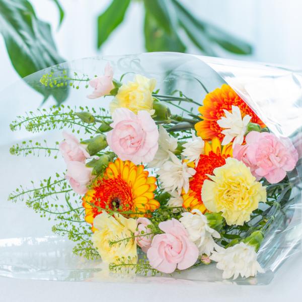 Bó Hoa The Dreamers 442