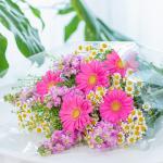 Bó Hoa The Dreamers 445