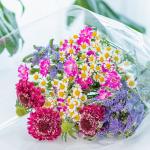 Bó Hoa The Dreamers 446