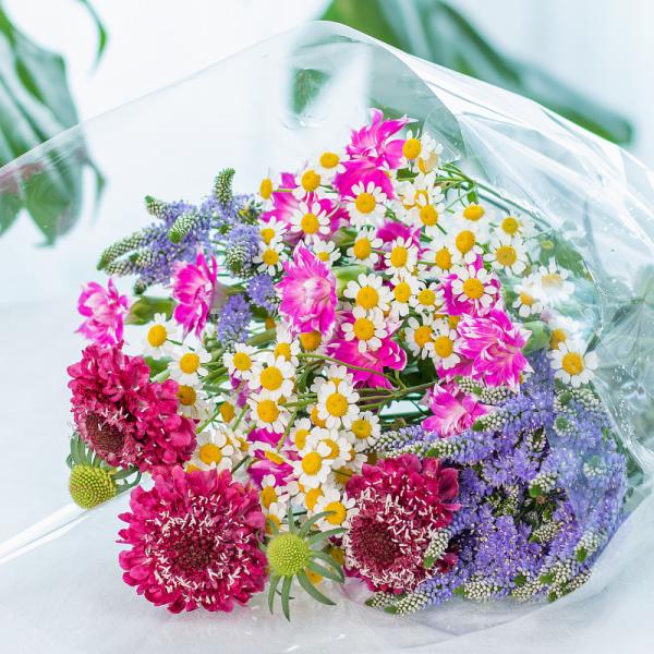 Bó Hoa The Dreamers 446