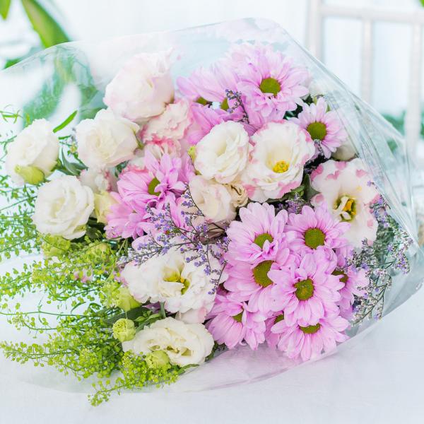 Bó Hoa The Dreamers 448