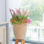 Chậu Hoa Thiết Kế Sức Sống 028