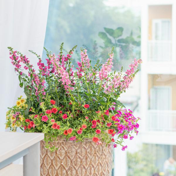 Chậu Hoa Thiết Kế Sức Sống 028