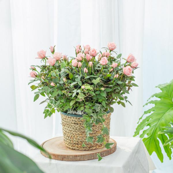 Giỏ Hoa Thiết Kế Yêu Thương 142