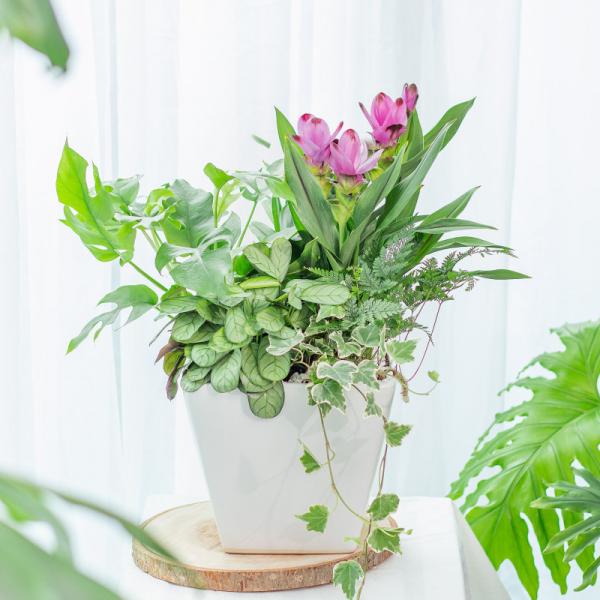 Chậu Hoa Thiết Kế Đồng Xanh 149