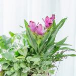 Chậu Hoa Thiết Kế Đồng Xanh 149