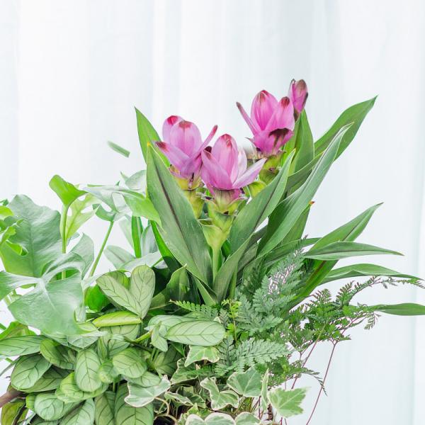 Chậu Hoa Thiết Kế Đồng Xanh 149