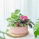 Chậu Cây Thiết Kế Đồng Xanh 151