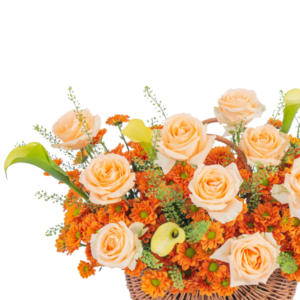 Giỏ Hoa Dẫn Lối Yêu Thương 534