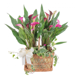 Giỏ Hoa Chậu Thiết Kế Thanh Tú 018