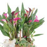 Giỏ Hoa Chậu Thiết Kế Thanh Tú 018