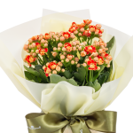 Chậu Hoa Thiết Kế Điều Ngọt Ngào 100