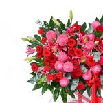 Kệ Hoa Chúc Mừng 012