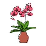 Lan Hồ Điệp Viên Mãn 016