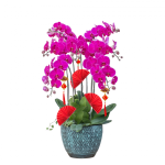 Lan Hồ Điệp Viên Mãn 019