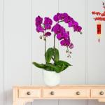 Lan Hồ Điệp Viên Mãn 049