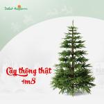 Cây Thông Noel Hạnh Phúc 1m8
