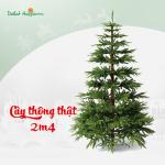 Cây Thông Noel Yêu Thương 2m4