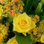 Giỏ Hoa Chúc Mừng 026