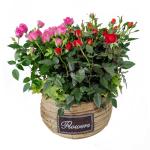 Giỏ Hoa Chậu Thiết Kế 034