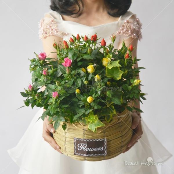 Giỏ Hoa Chậu Thiết Kế 034