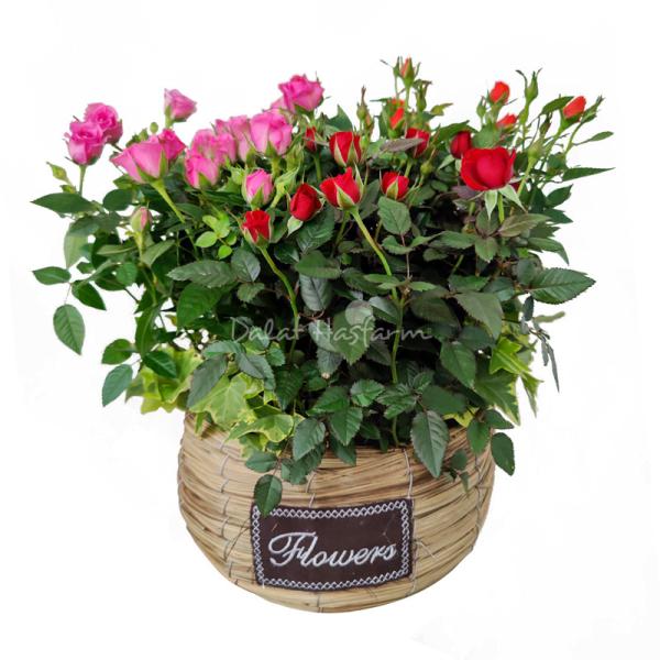 Giỏ Hoa Chậu Thiết Kế 034