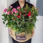 Giỏ Hoa Chậu Thiết Kế 034