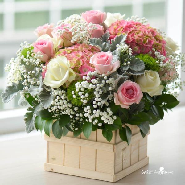 Chậu Hoa Dịu Ngọt Yêu Thương 068