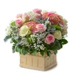 Chậu Hoa Dịu Ngọt Yêu Thương 068