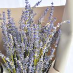 Bó Hoa Lavender 268
