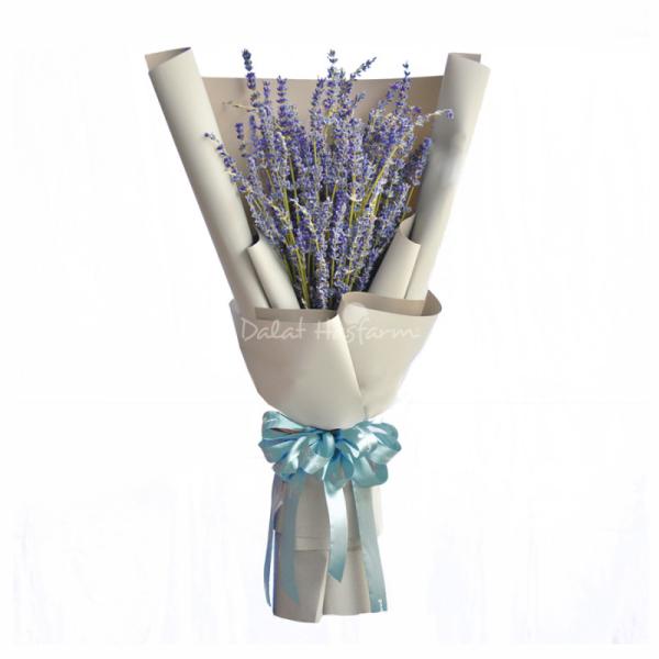 Bó Hoa Lavender 268