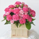 Lời Chúc Tháng Mười - 01