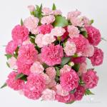 Lời Chúc Tháng Mười - 01